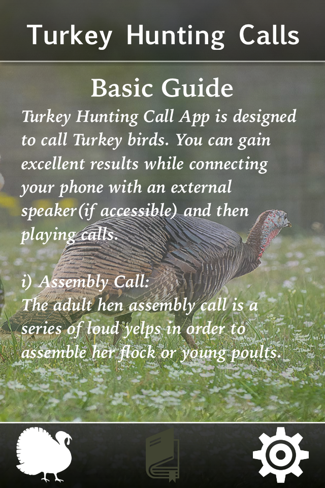 Turkey Hunting Calls