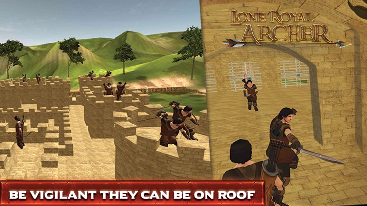 Train A Royal Archer Shooter