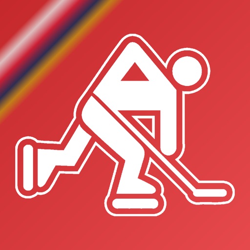 Name It! - Florida Hockey Edition iOS App