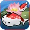 Koi Carp Jump - Cutest Fish Swim and Race to Become Dragon