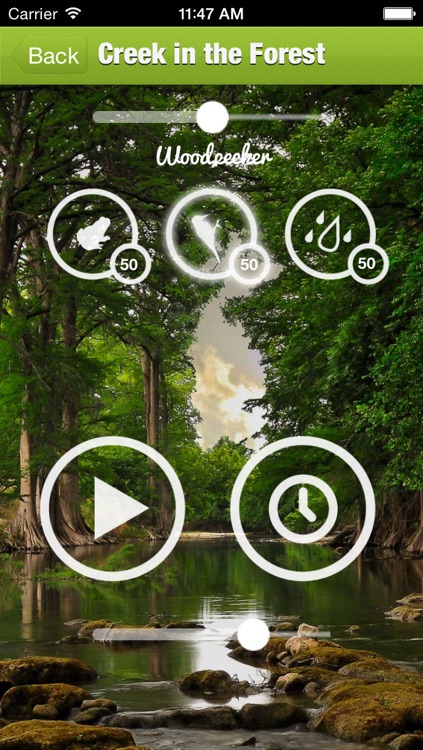 Forest Sound for Sleep and Meditation