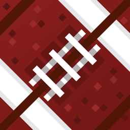 Touchdown Star Training