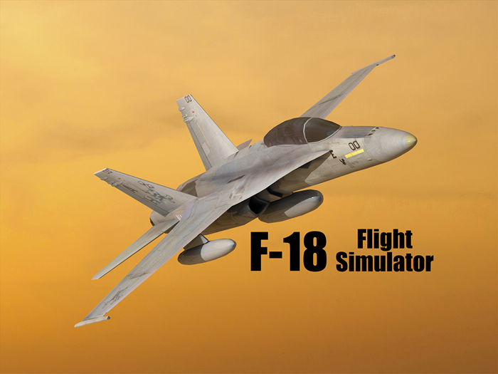 F18 Flight Simulator