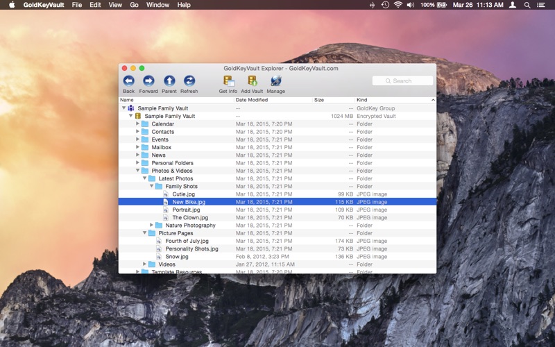 Screenshot #2 pour GoldKeyVault
