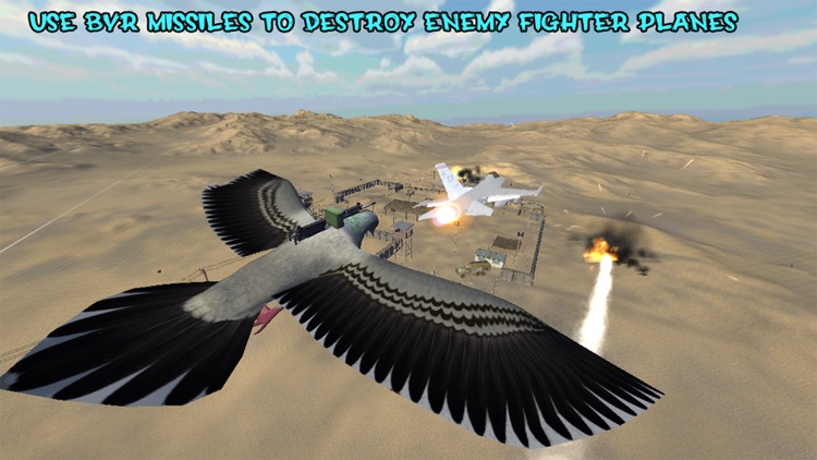 Pigeon Spy Bird Shooter HD
