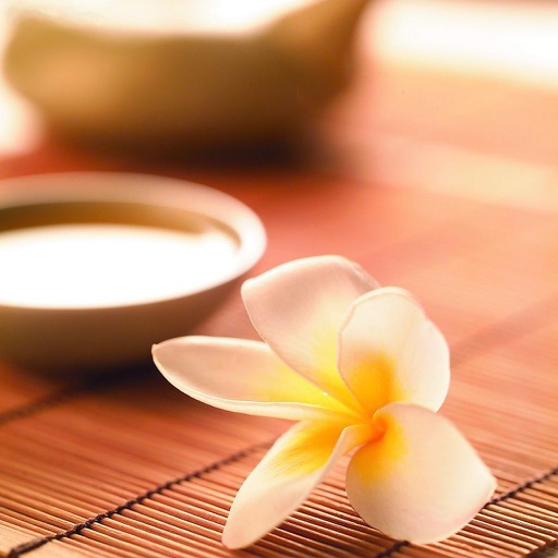 健康之道-传统中医养生保健