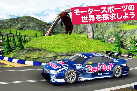 Red Bull Racers screenshot 4