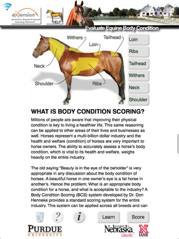 Screenshot #4 pour HorseBCS