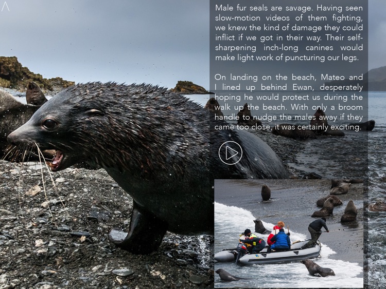 BBC Life Story screenshot-3