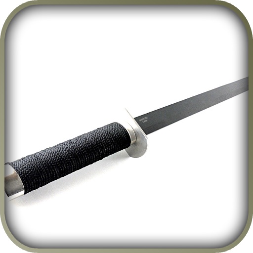 Game Pro - Mark of the Ninja Version iOS App