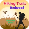 Hiking Trails Redwood National Park