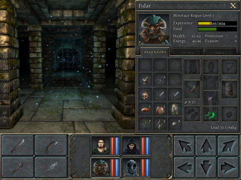 Legend of Grimrock на iPad