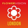 Flowervision