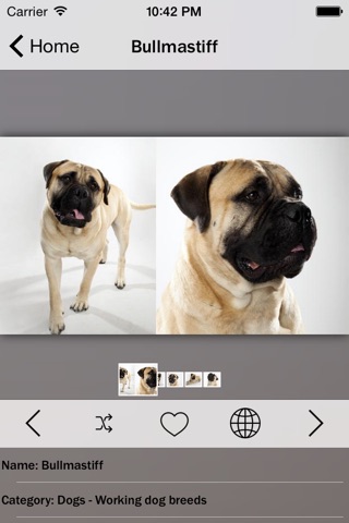 Cats and Dogs Collection Pro screenshot 3