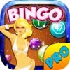 Bingo Lady Fortune PRO - Play Online Casino and Gambling Card Game for FREE !