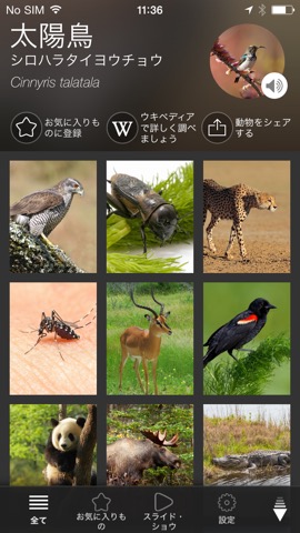 動物検査機 無料で：音と写真のおすすめ画像1