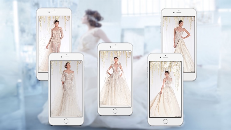 Wedding Dress & Bridal Gown Ideas
