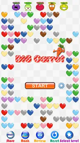 Game screenshot Dig Carrot hack