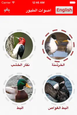 Game screenshot اصوات الطيور - Birds Sounds apk