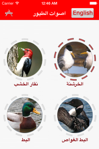 اصوات الطيور - Birds Sounds screenshot 2