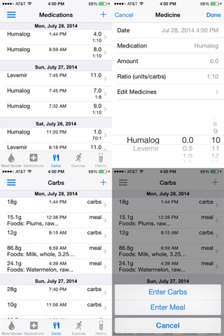 Carburetor Diabetes Manager screenshot 2