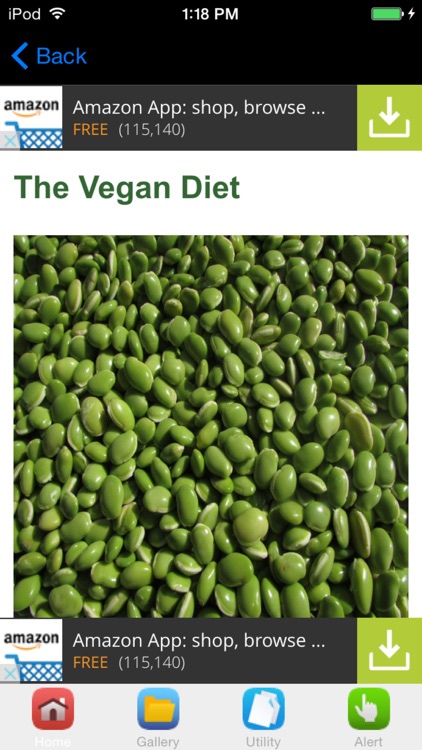 Vegan Diet Information