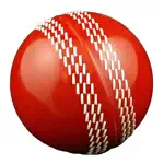 Live Cricket Scores & News App Positive Reviews