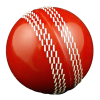 Live Cricket Scores and News