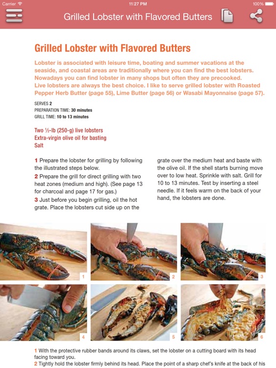 Barbecue & Grilling Cookbook for iPad