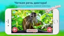 Кто тут? Учим животных вместе с детьми + развивающие карточки + звуки зверей детям бесплатно айфон картинки 4