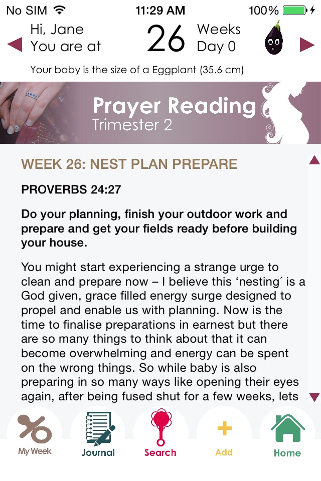 Pregnancy Prayer App screenshot 2