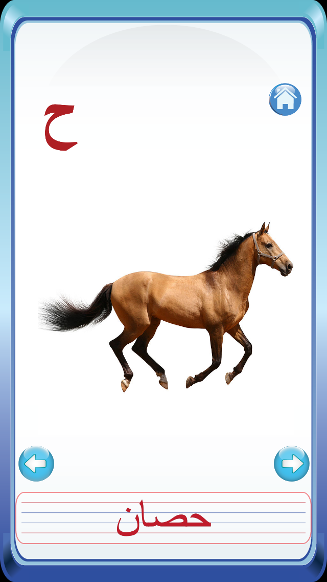 Kids Arabic Alif Baa Ta Huruf Flash Cards