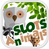 Animals of the Savannah Slots Machine - FREE Las Vegas Casino Spin for Win