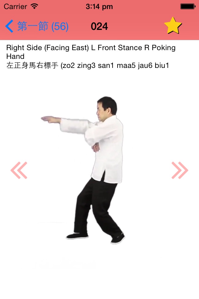 Wing Chun Biu Zi Form screenshot 2