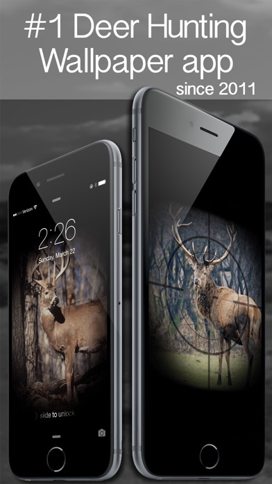 45 Deer Wallpapers HD  PixelsTalkNet