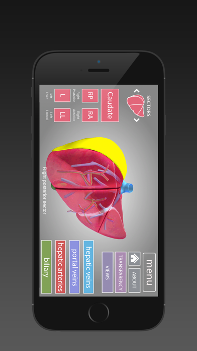 Surgical Anatomy of the Liver (iPhone) Screenshot