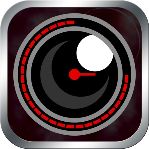 Fixed-Point Animated Picture Camera