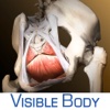 Visible Body®/AMS™ Pelvic Anatomy App