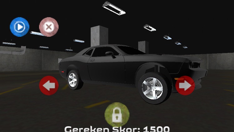 Car Simulation 3D screenshot-4