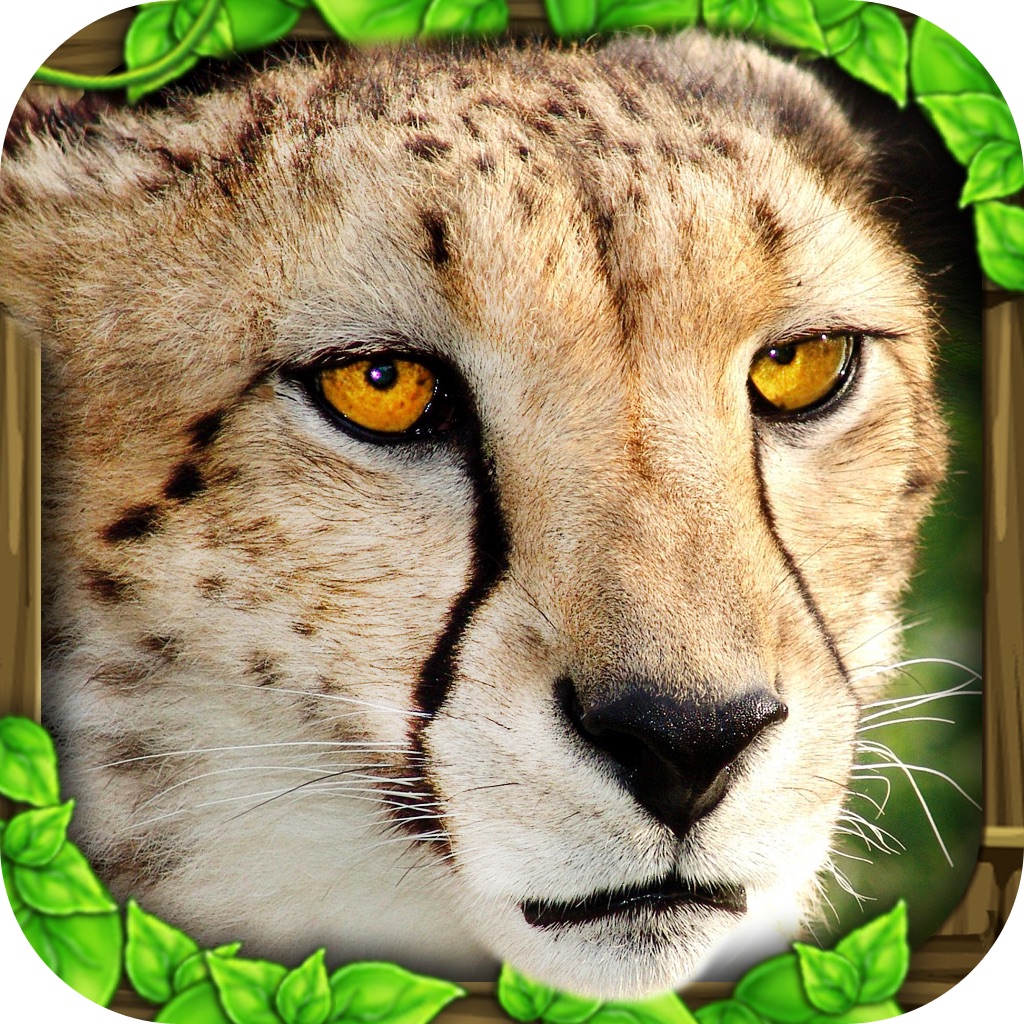 Android Apps by Gluten Free Games LLC on Google Play