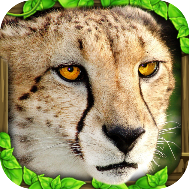 Cheetah Simulator on the Mac App Store
