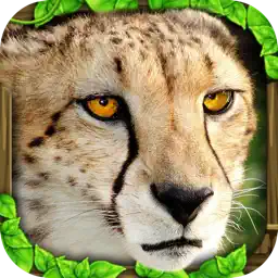 Cheetah Simulator app icon