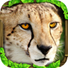 Cheetah Simulator icon