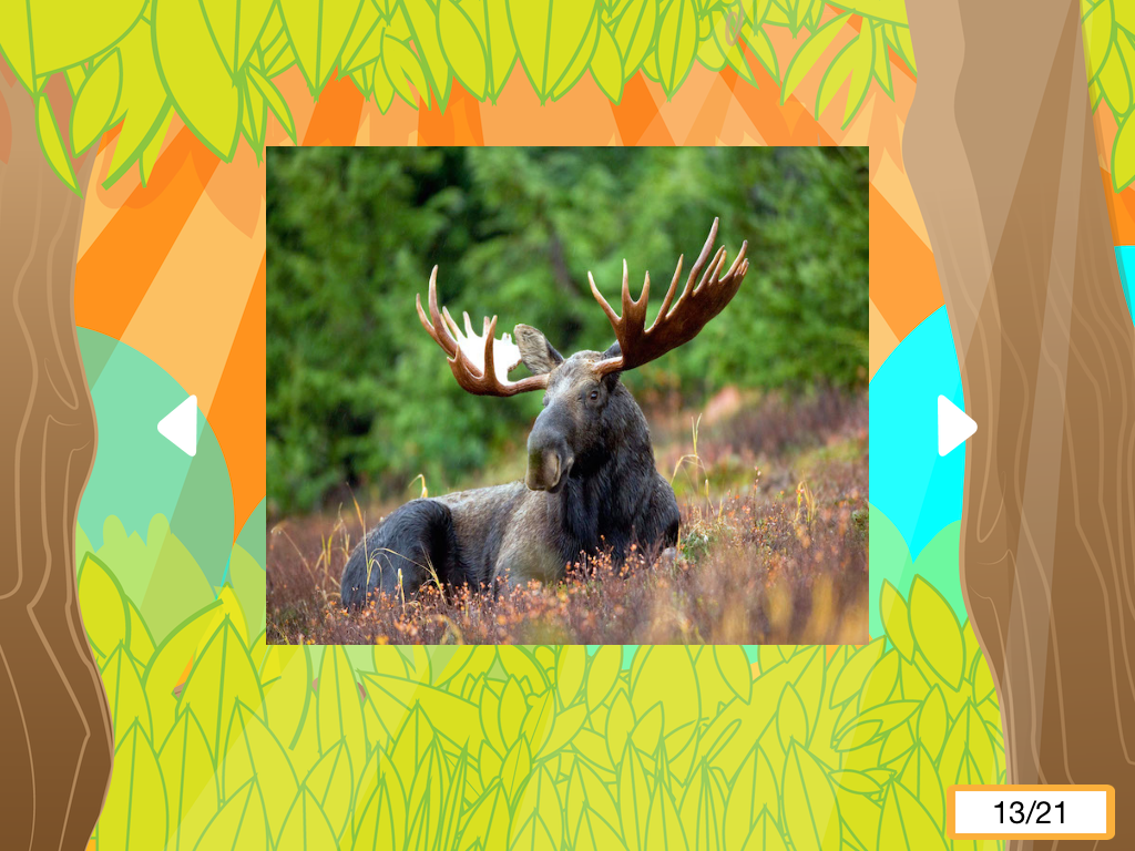 The Best Animal Sounds