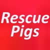 Rescue Pigs