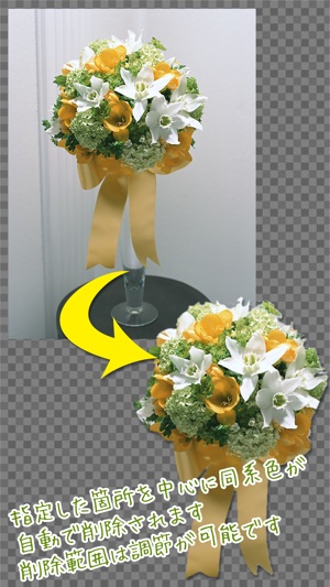 背景透過 写真を切り抜き 背景透明でスタンプを無料で作成 をapp Storeで