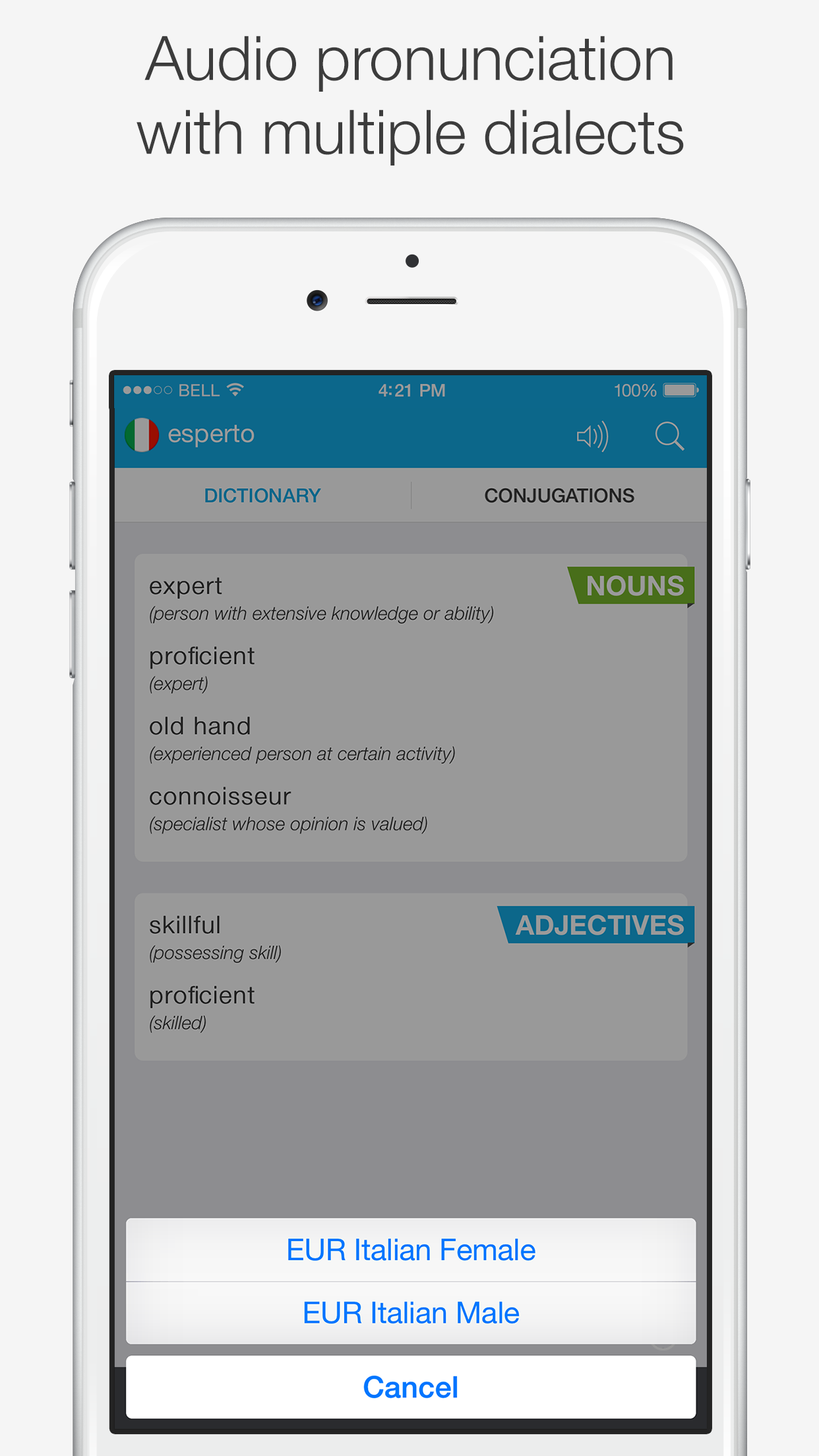 Italian – English Dictionary