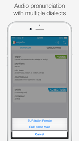 Italian – English Dictionary screenshot
