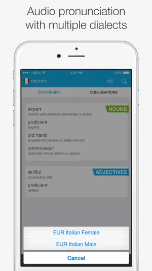 Italian – English Dictionary screenshot 4