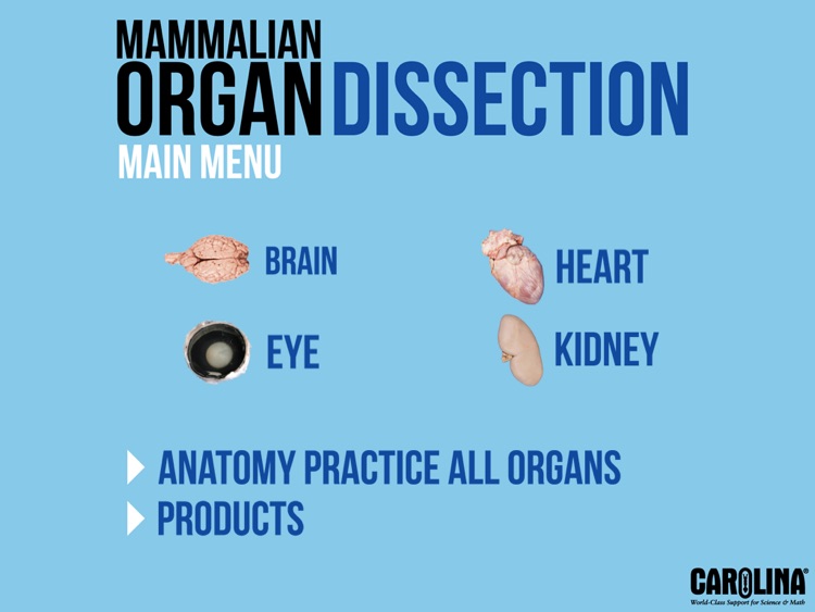 Mammalian Organ Dissection Free